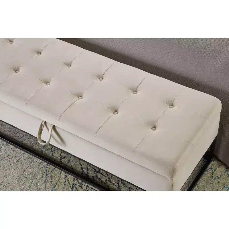 58.6 Panca Ottomana di Tendenza a Fondo Letto con Contenitore, Ottomana di Lusso in Velluto, Panca Accento Imbottita in Morbida Schiuma con Gambe in Ferro, Capacità 227 kg