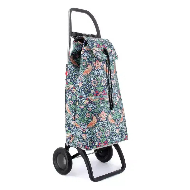 Carrello Spesa Pieghevole a 2 Ruote